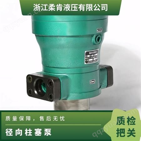 启栋高压油泵40/ 63/ YCY14-1B轴向柱塞泵液压 质量保证